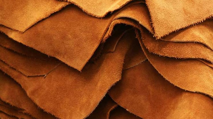 Leather Sector Bangladesh