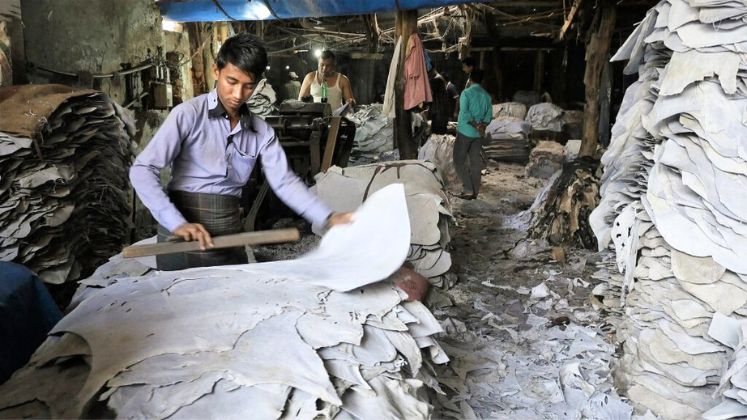 Tannery owners struggle as Eid hides fetch lower prices than Government-set rates | Business Trade News